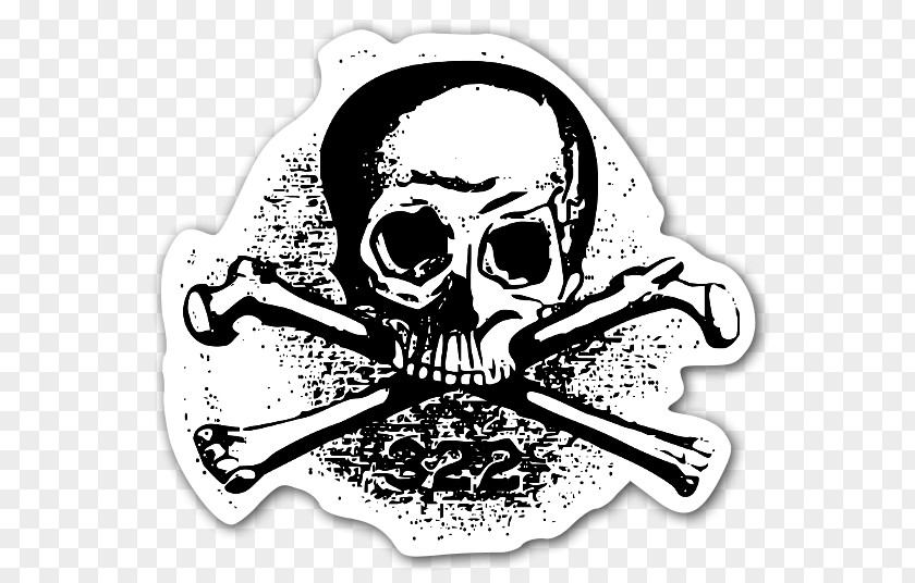 Skull And Bone Bones T-shirt Human Symbolism PNG