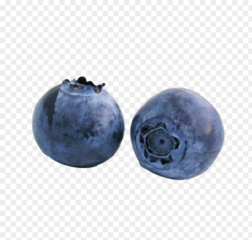 Two Blueberry Bilberry Vaccinium Angustifolium Herb PNG