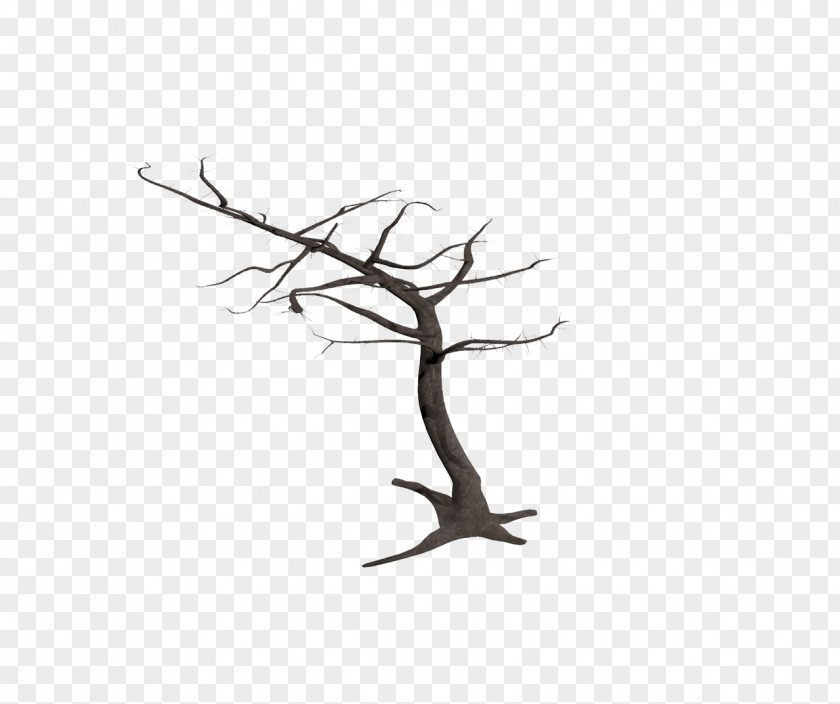 Wound Tree Snag Branch Bark PNG