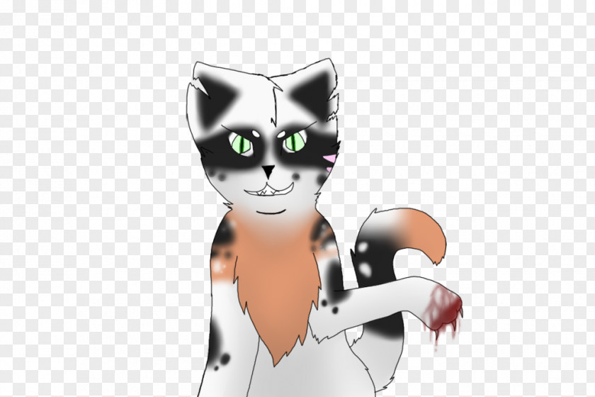 Kitten Whiskers Cat Cartoon PNG