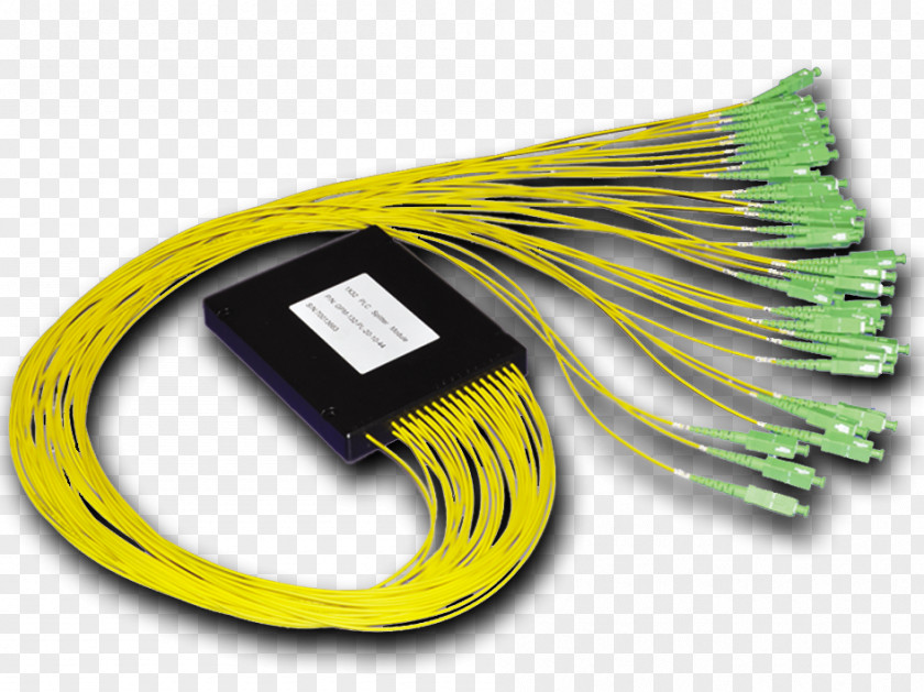 Landing Of The 33 Orientals Network Cables Wire Electrical Cable Computer Font PNG