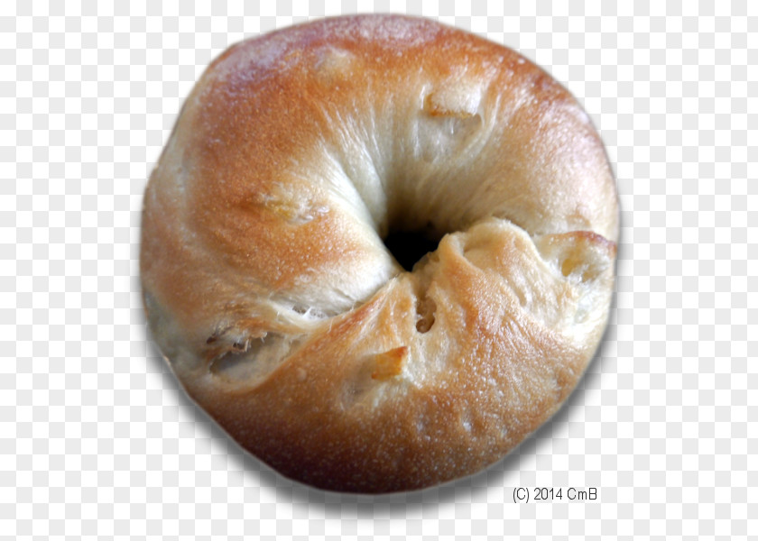 Bagel Bialy Danish Pastry Kolach Donuts PNG