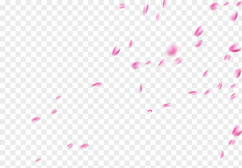 Falling Petals Petal Pink Clip Art PNG