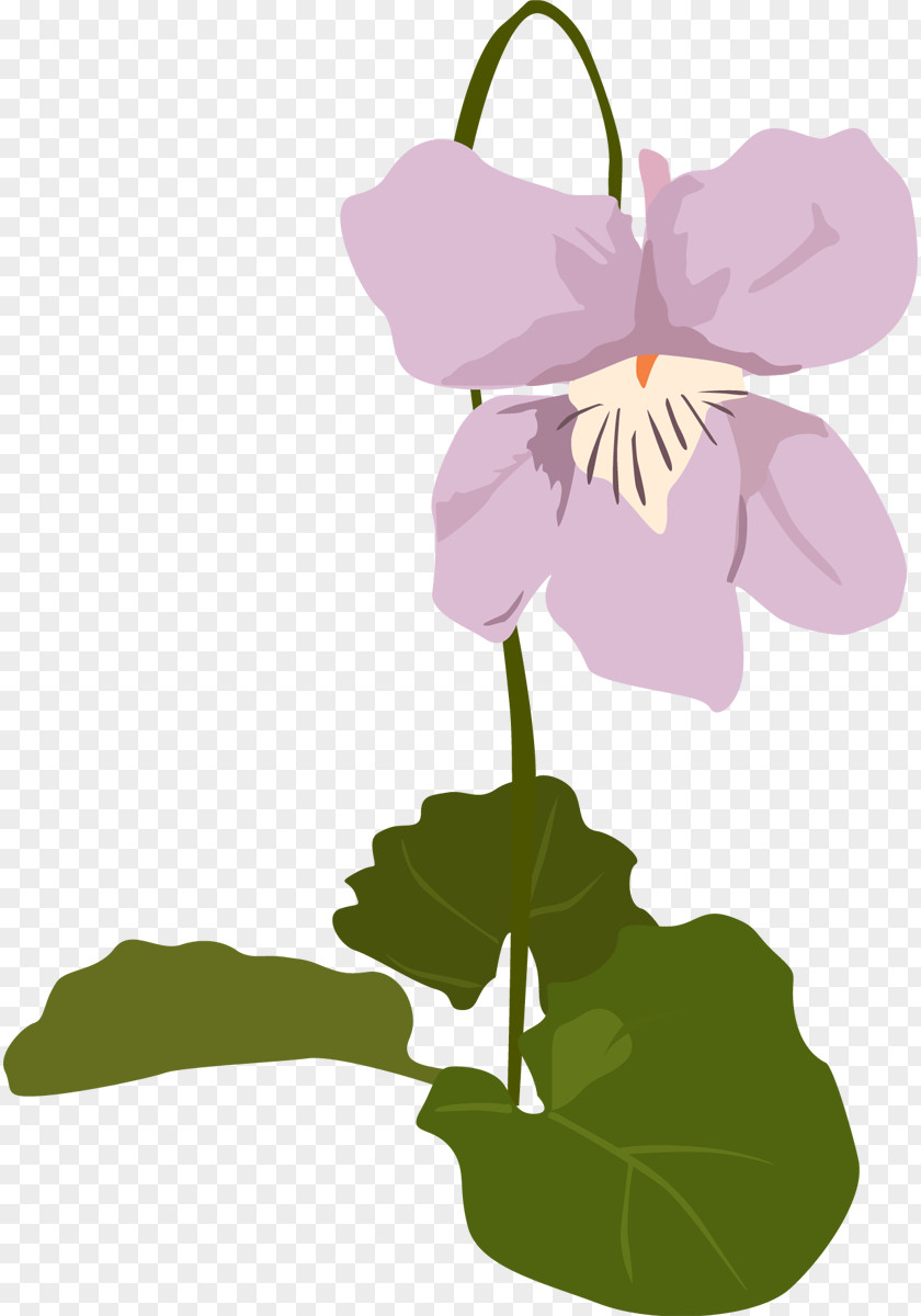 Violets Petal Clip Art Leaf Plant Stem PNG