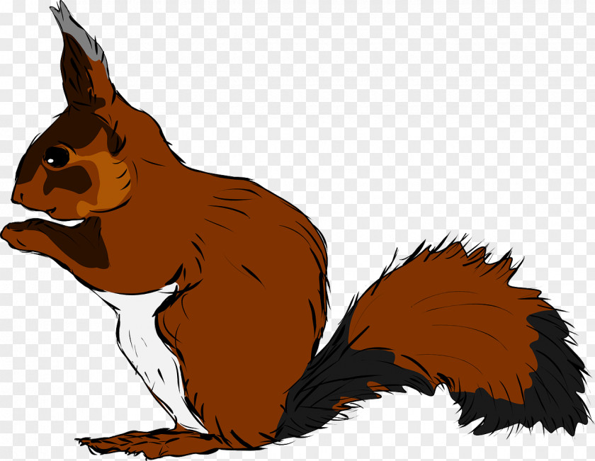 Brown Squirrel Clip Art PNG