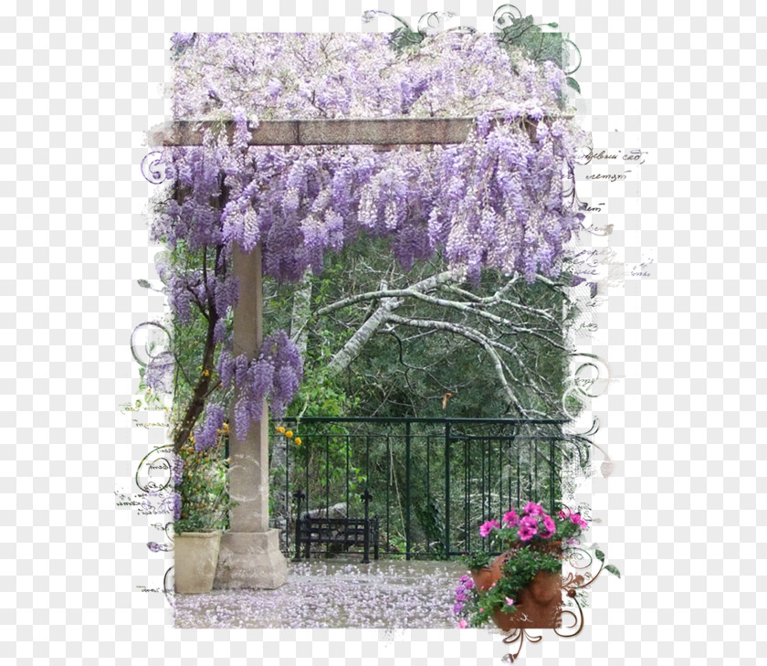 Landscape Painting Wisteria Tree Plant Violet PNG