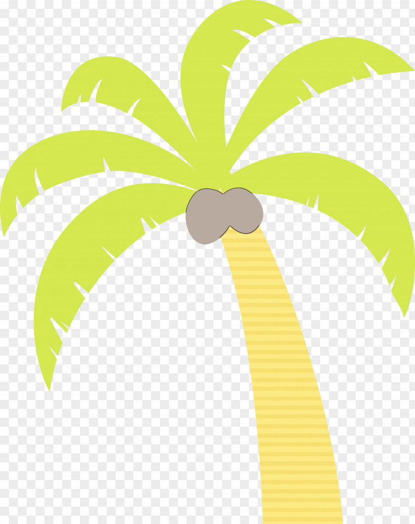 Palm Trees PNG