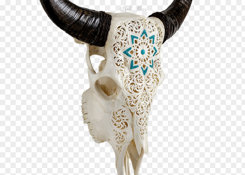 Skull Animal Skulls Horn Antler Cattle PNG