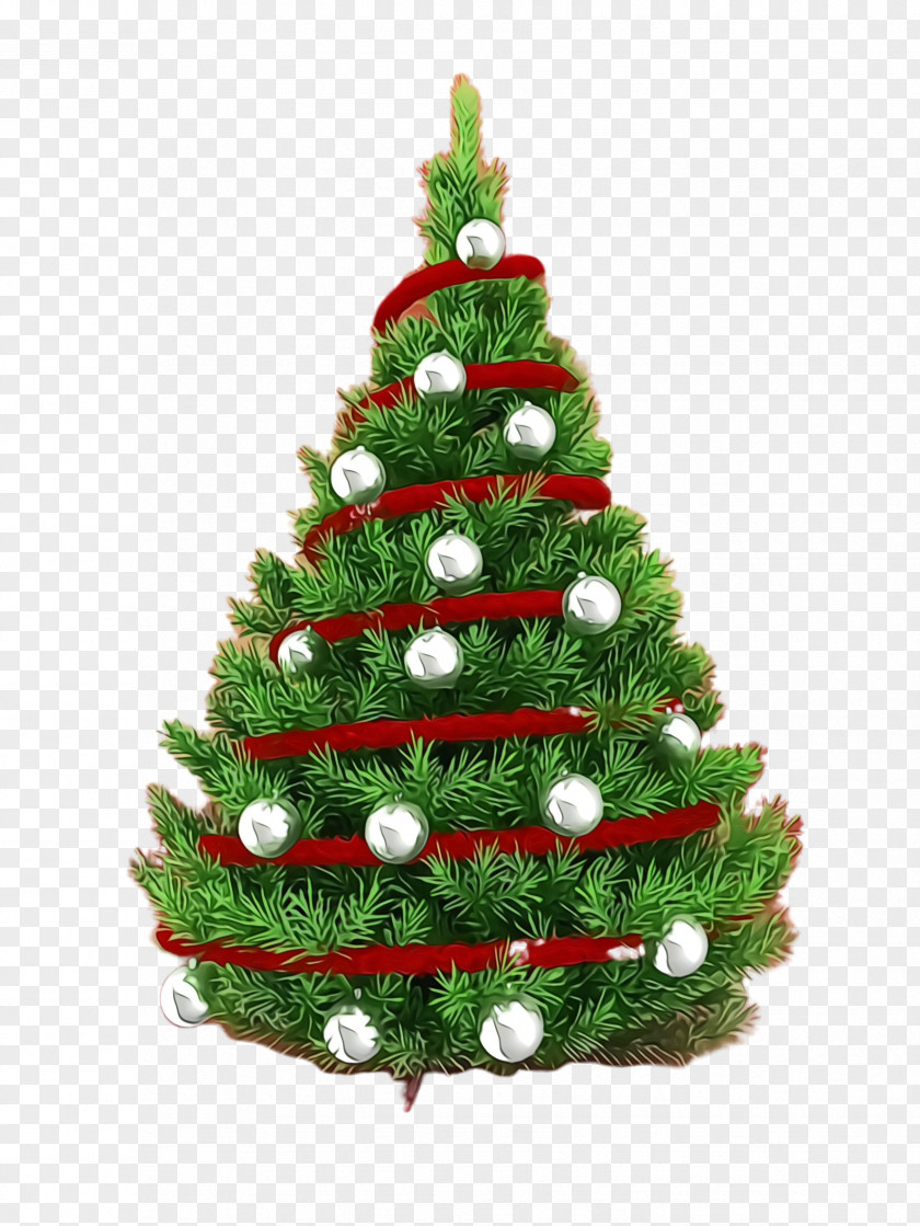 Spruce Pine Christmas Tree PNG
