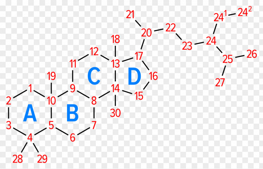 Steroid Hormone Phytosterol Cholesterol Cortisol PNG