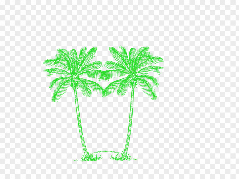 Tree Arecaceae Clip Art PNG