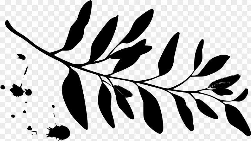 Twig Stencil Leaf White Black-and-white Tree Branch PNG