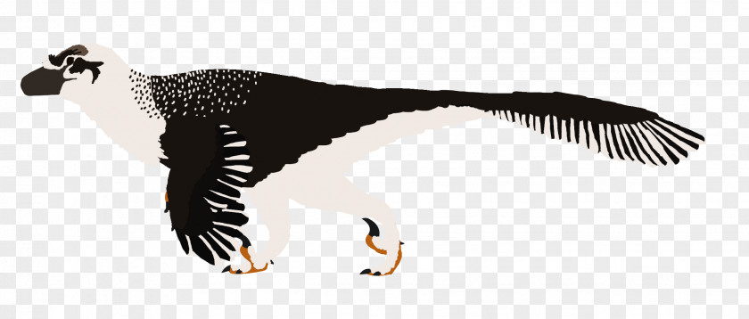 Tyrannosaurus Dakotaraptor Saurian Velociraptor Triceratops PNG