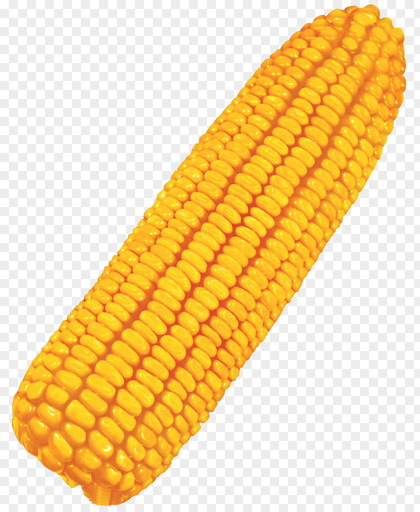 A Corn-free Buckle Material Maize Corn On The Cob Crop Food Cereal PNG