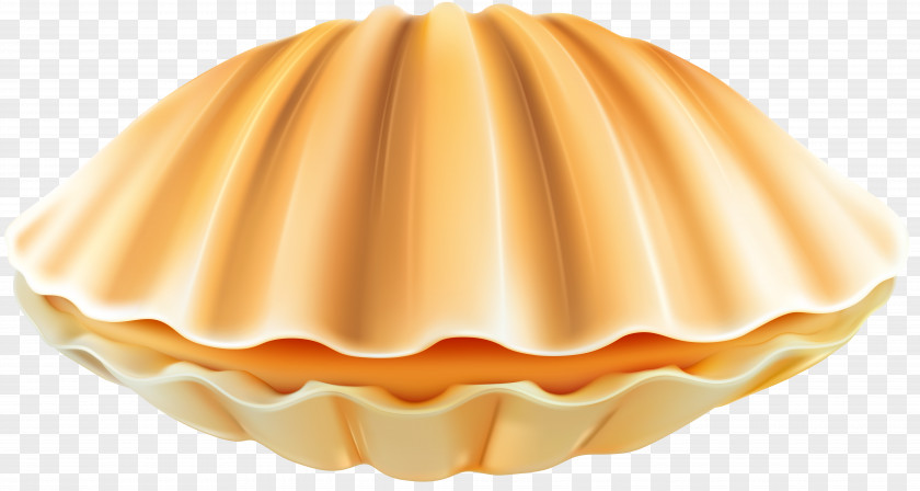 Arc Clam Clip Art Image Seashell PNG