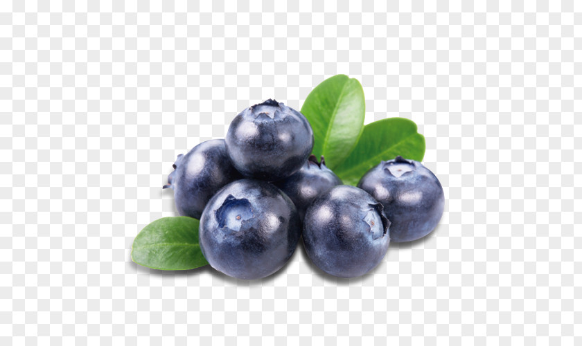 Blueberry Bash Bilberry Fruit Juice PNG