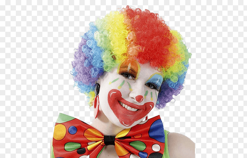 Clown Make-up Circus Entertainment Wig PNG