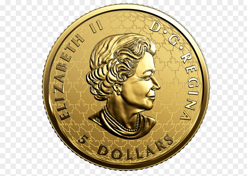 Coin Canadian Gold Maple Leaf Silver PNG