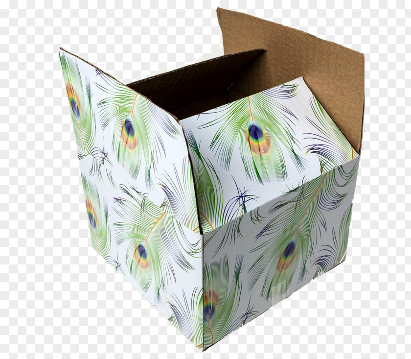 Flute Peacock Box Paper Plastic Logo PNG