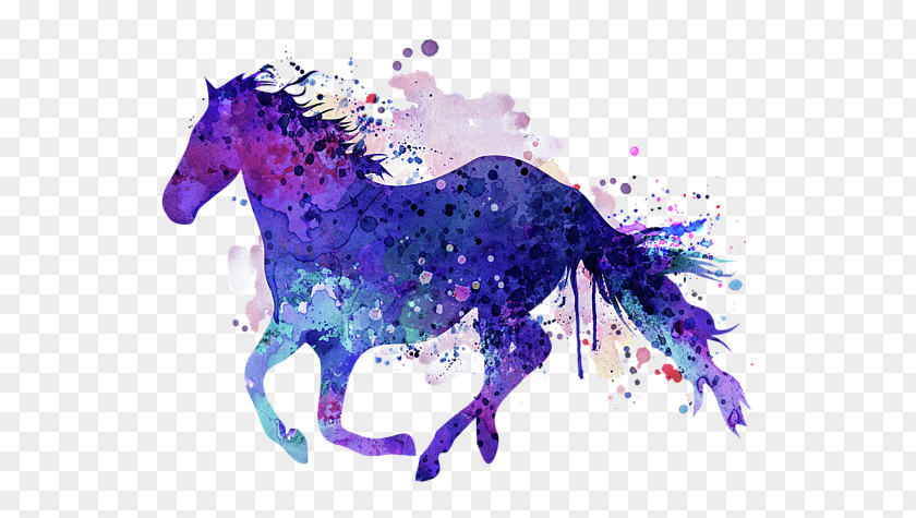 Horse Pony Watercolor Painting PNG