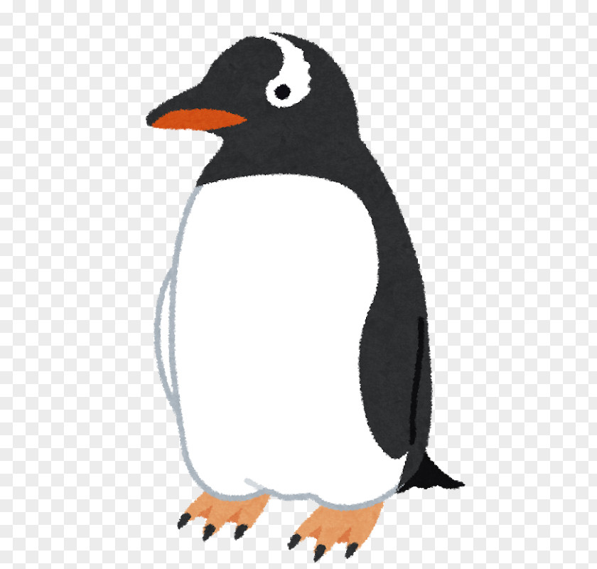 Penguin Adélie Bird Gentoo King PNG