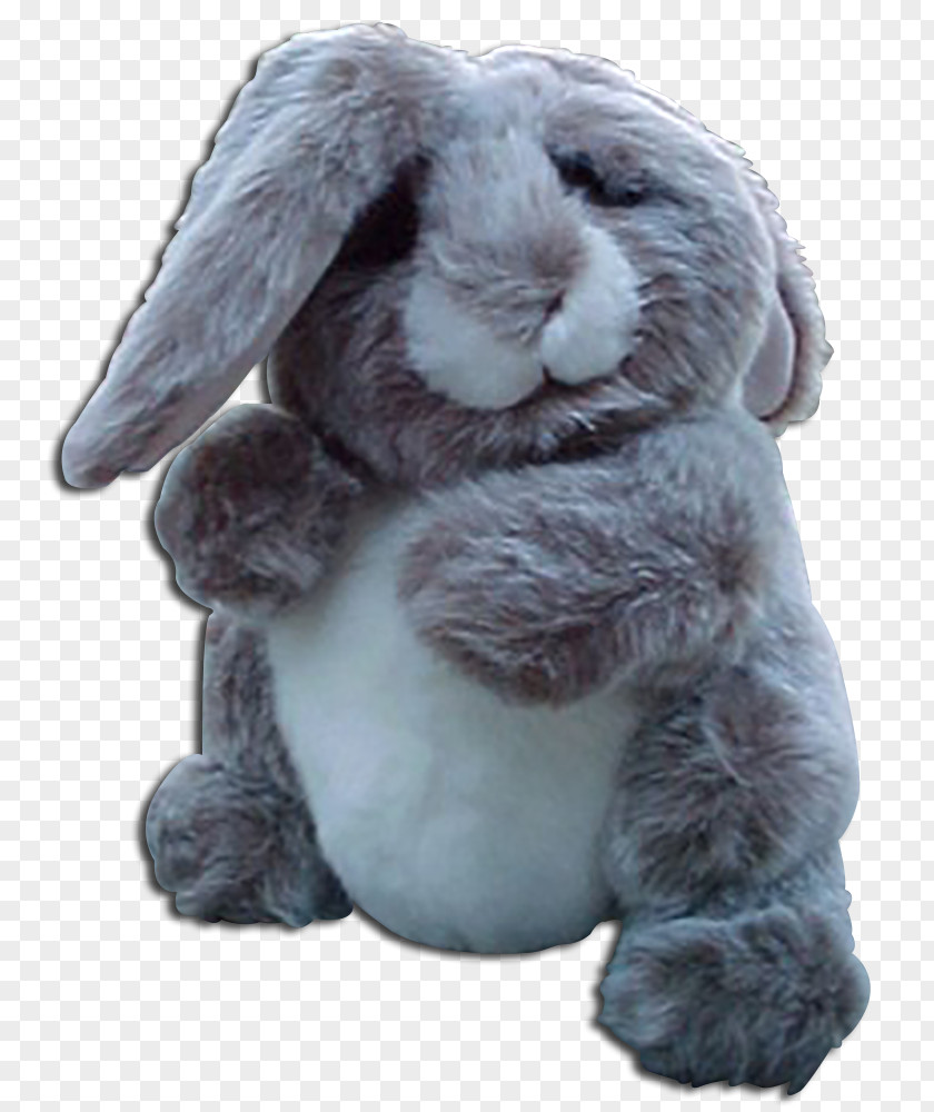 Rabbit Domestic Stuffed Animals & Cuddly Toys Easter Bunny Holland Lop PNG