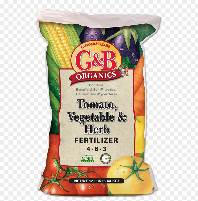 Vegetable Organic Food Vegetarian Cuisine Tomato PNG