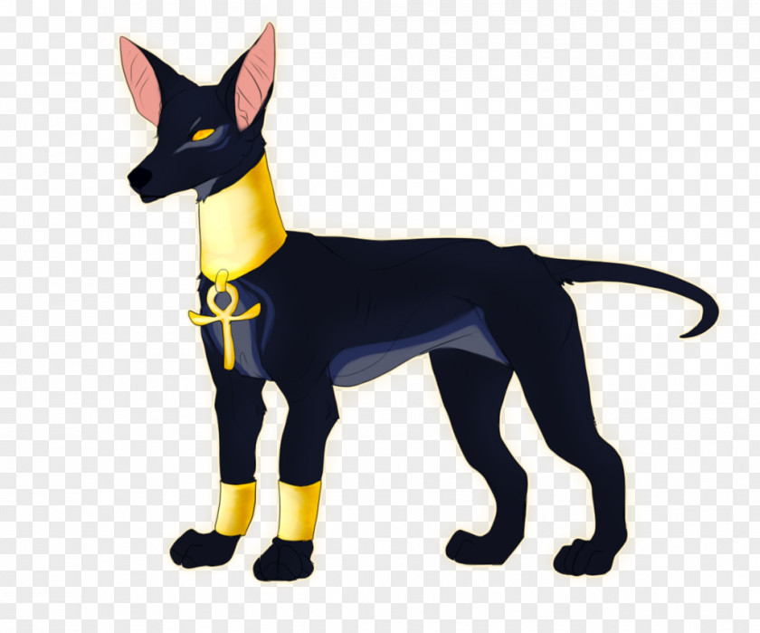 Anubis Italian Greyhound Dog Breed Canidae Pet PNG