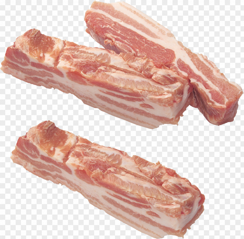 Bacon Ragout Embutido Meat PNG