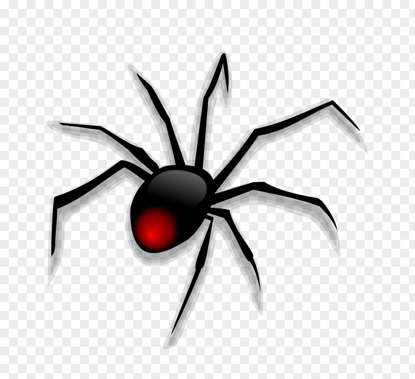 Red Spiders Pictures Spider Cartoon Clip Art PNG