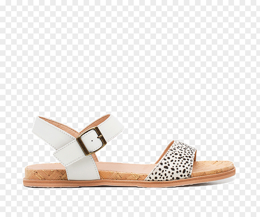 Sandal Shoe Slide Ballet Flat Fashion PNG