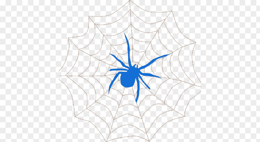 Spider Web Drawing Clip Art PNG