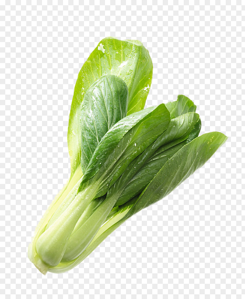 Cabbage Products In Kind Romaine Lettuce Choy Sum Vegetable Napa Chinese PNG