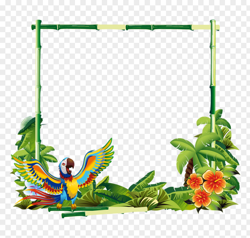 Macaws PNG