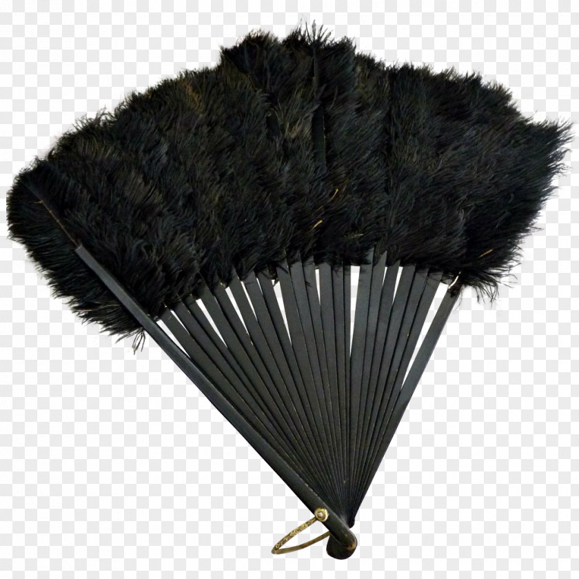 Ostrich Hand Fan Feather Paper Ceiling Fans PNG