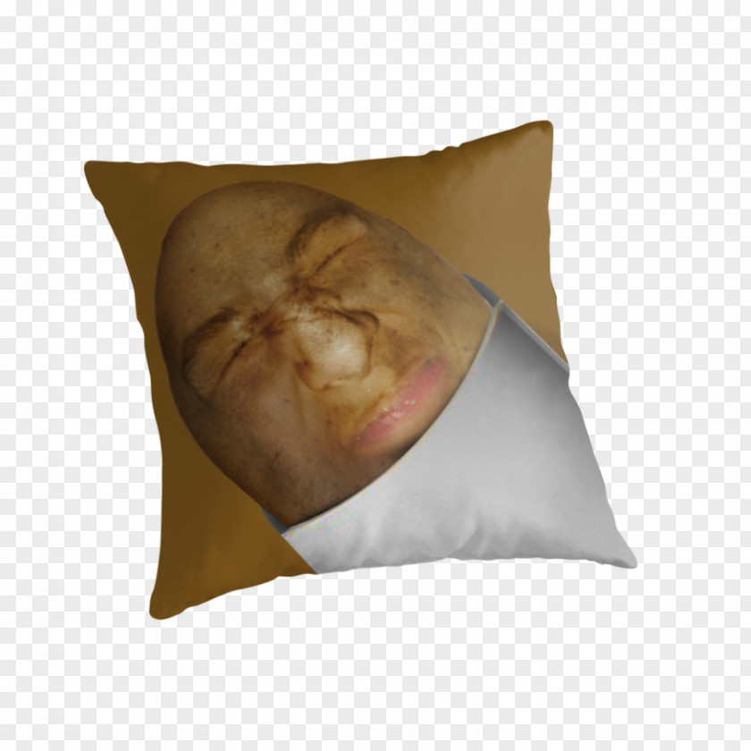 Pillow Throw Pillows Cushion Snout Material PNG