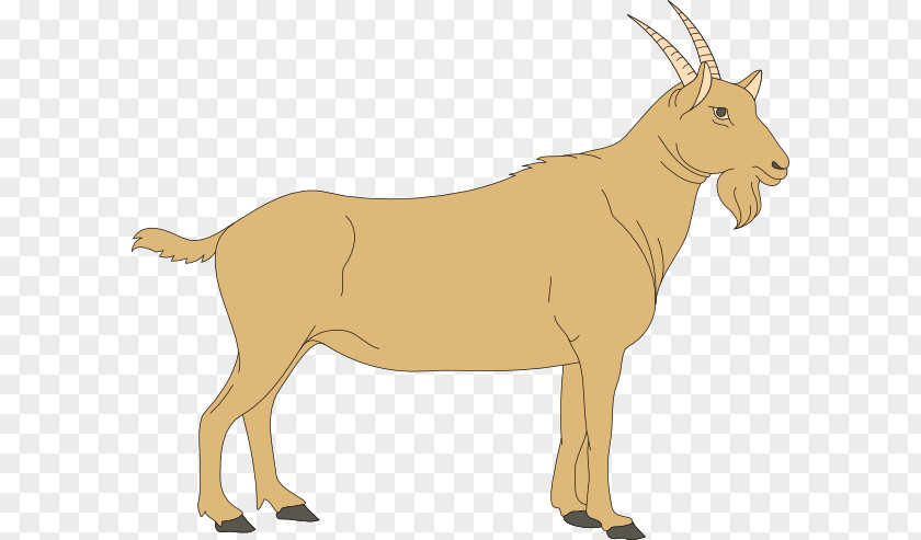 Goat Cliparts Fainting Boer Free Content Clip Art PNG