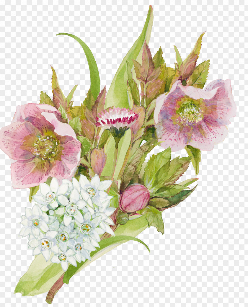 Hellebore Floristry Lily Flower Cartoon PNG