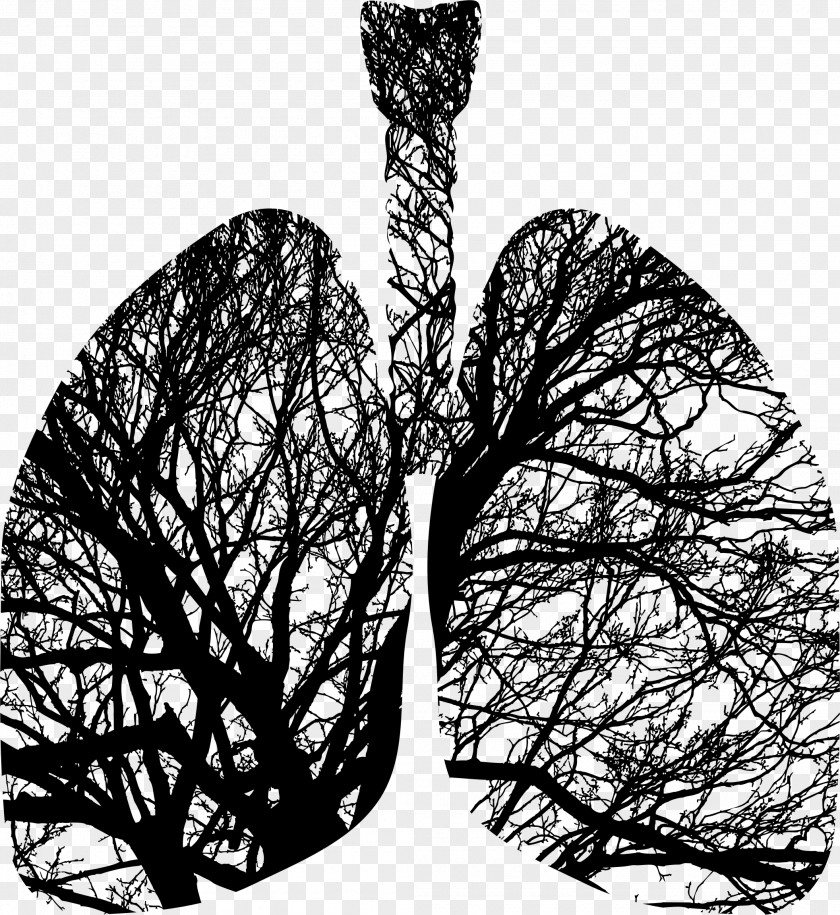 Lungs Tree Silhouette Lung Breathing PNG