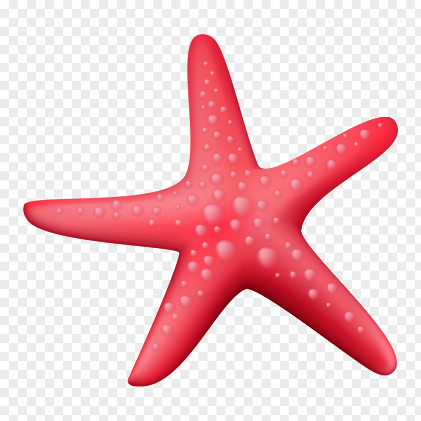 Red Starfish Sunglasses PNG