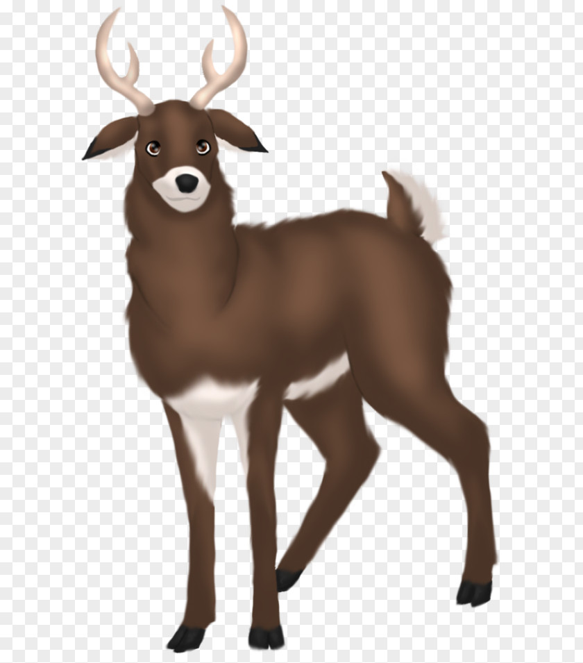 Reindeer Goat Dog Horn Wildlife PNG