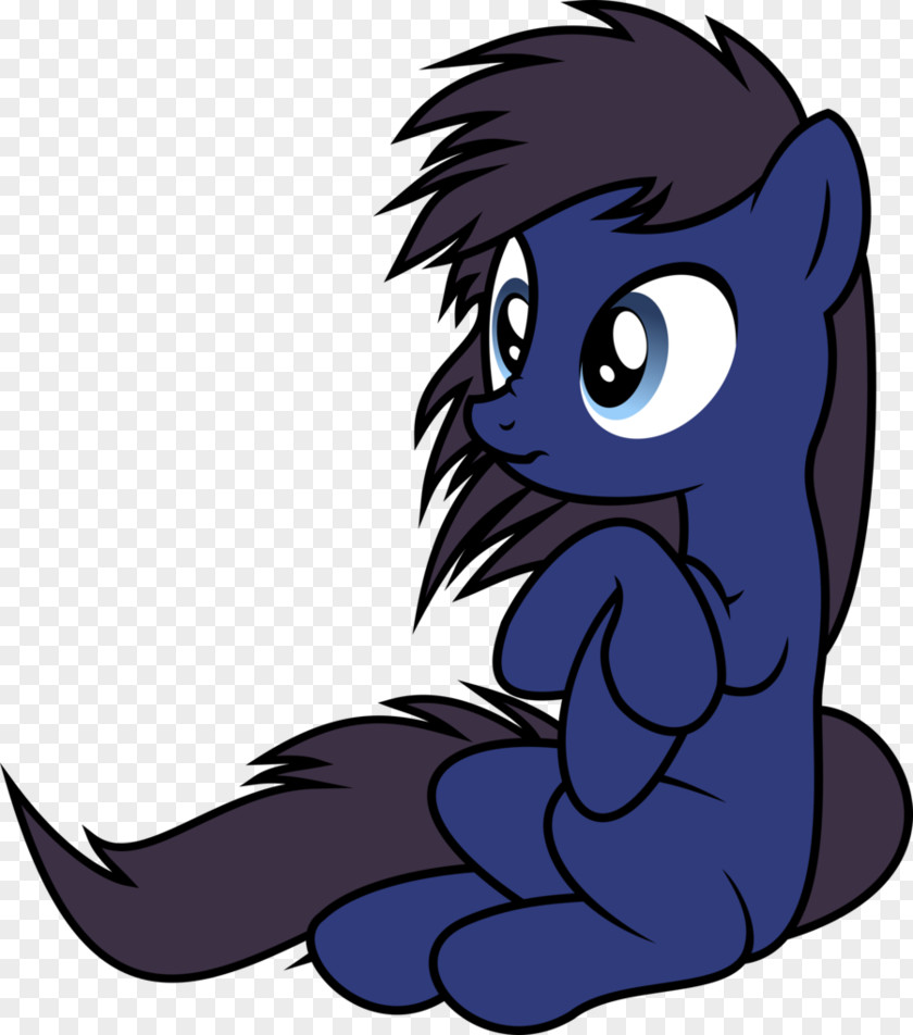 Cat Pony Horse Drawing PNG