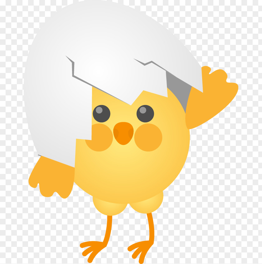 Cute Cartoon Chick Egg Shell Eggs Broken Chicken Clip Art PNG