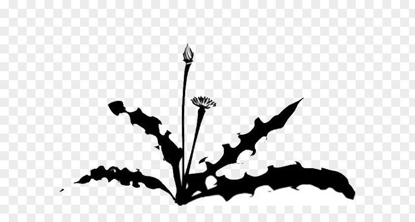 Dandelion Weed Garden String Trimmer Clip Art PNG