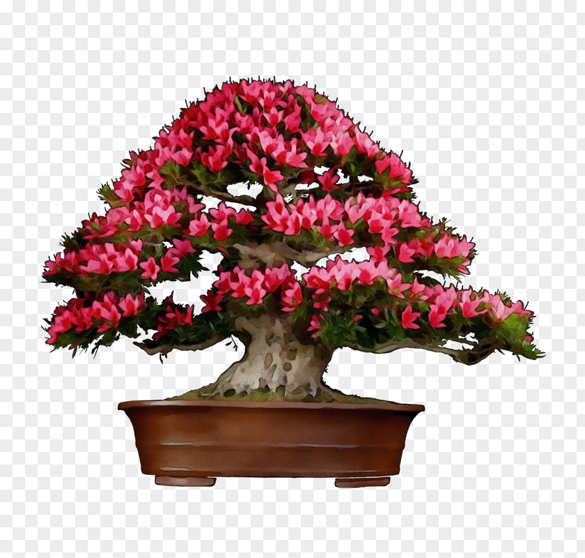 Perennial Plant Rhododendron Bonsai Tree PNG