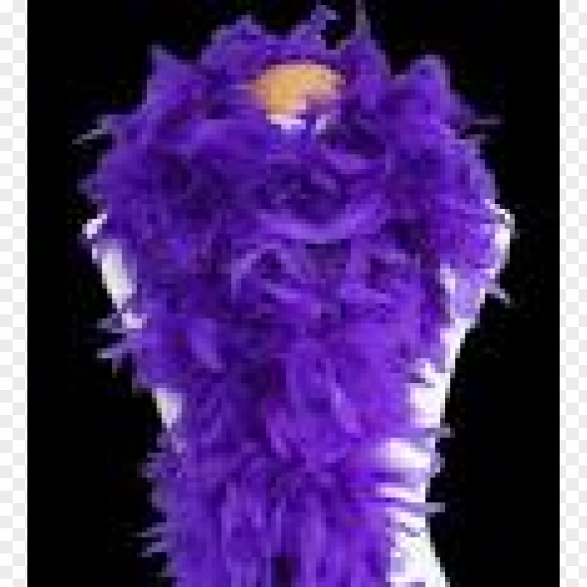 Purple Feather Boa Costume Violet PNG