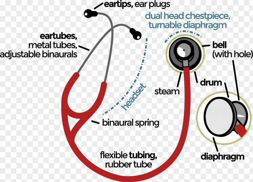 Stethoscopes Stethoscope Physician Auscultation Cardiology Medicine PNG