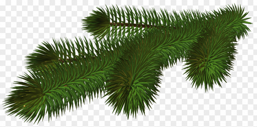 Transparent Pine Branch 3D Picture Christmas Tree Clip Art PNG