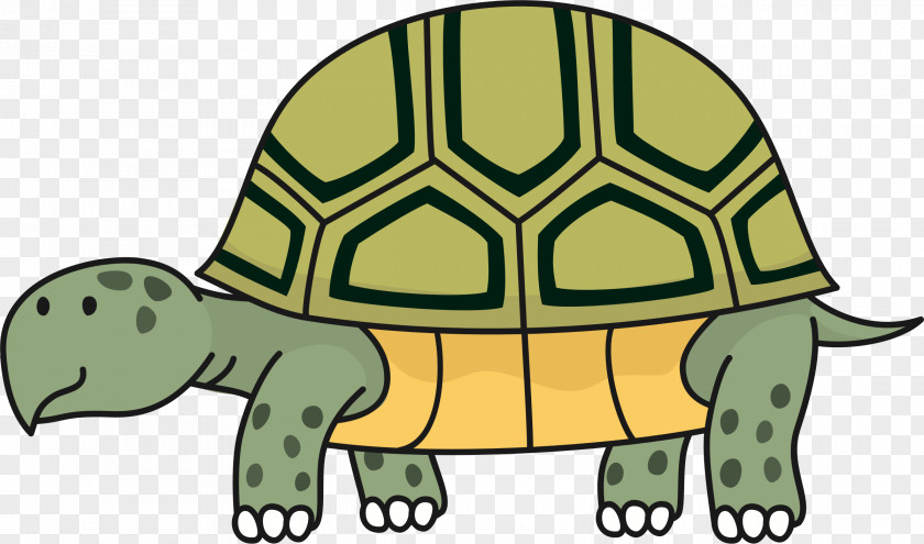 Turtle Tortoise Reptile Clip Art PNG