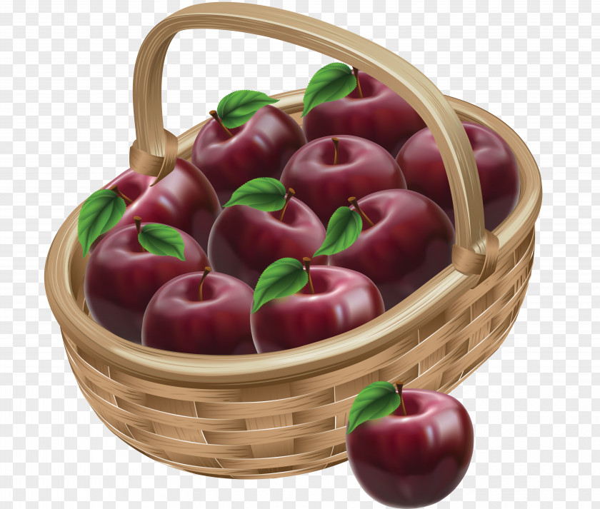 Apple The Basket Of Apples Drawing Illustration PNG